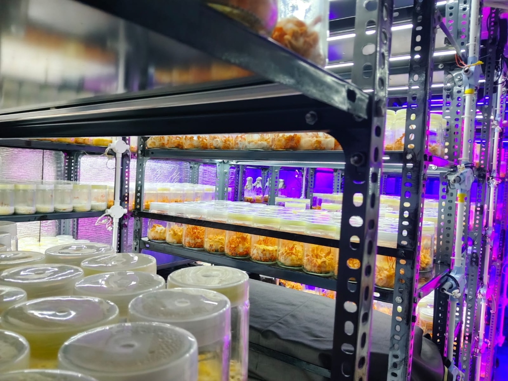 MitoForge Extraction Incubation Racks