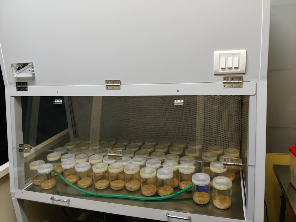 MitoForge Sterile Inoculation Block